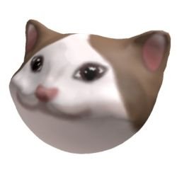 котяра
