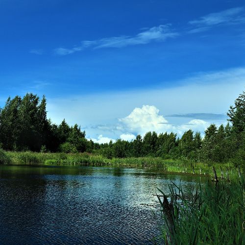 АЛЕКСЕЙ .Фе.