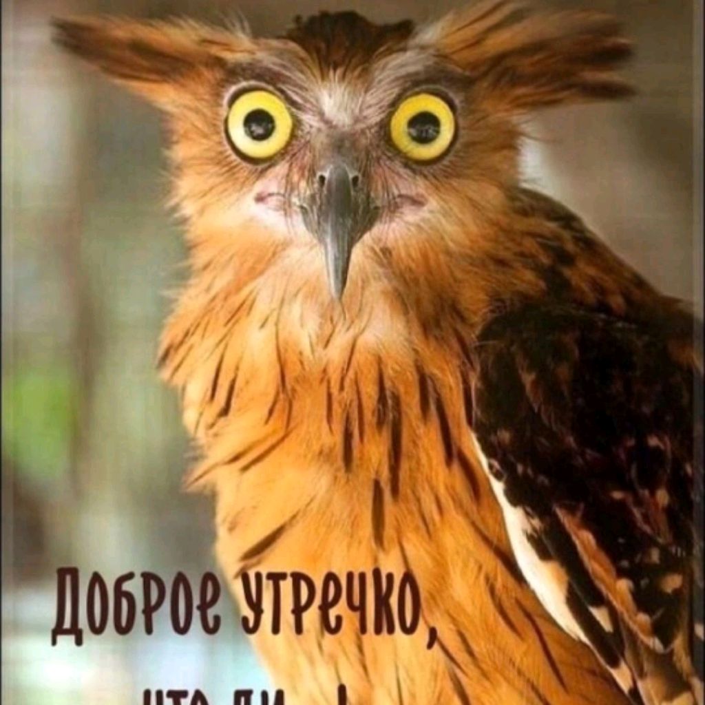 Вася Инженерг