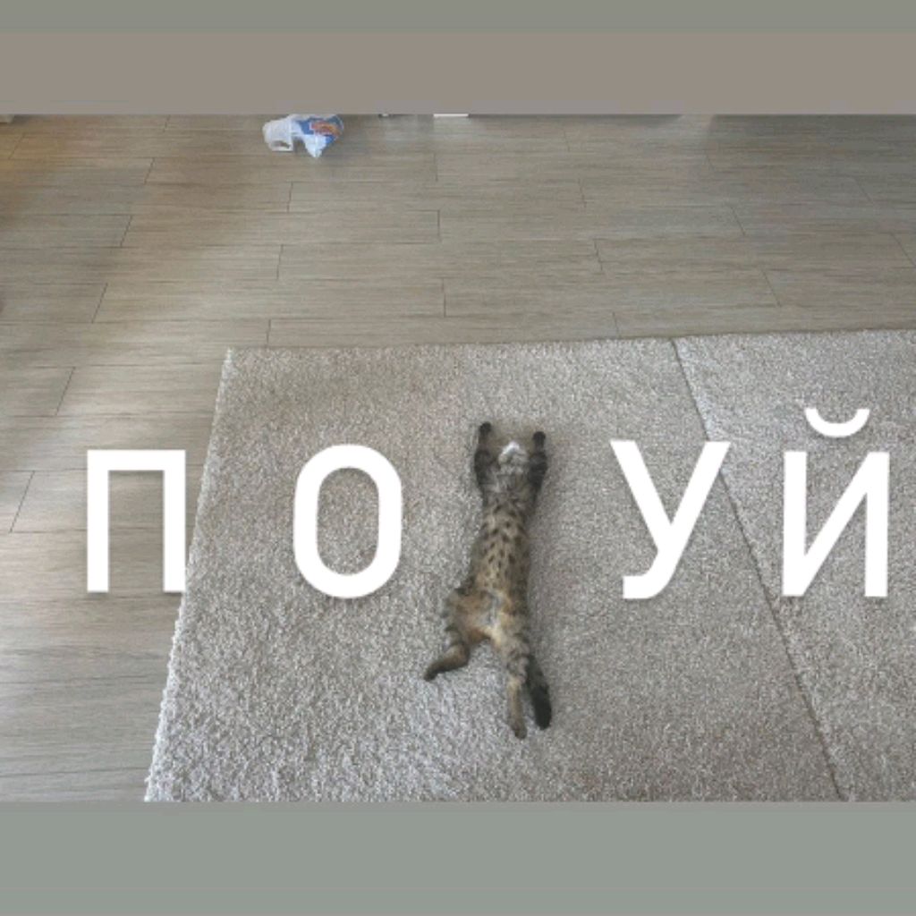 Андрей