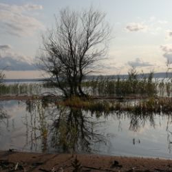 Искусство строить