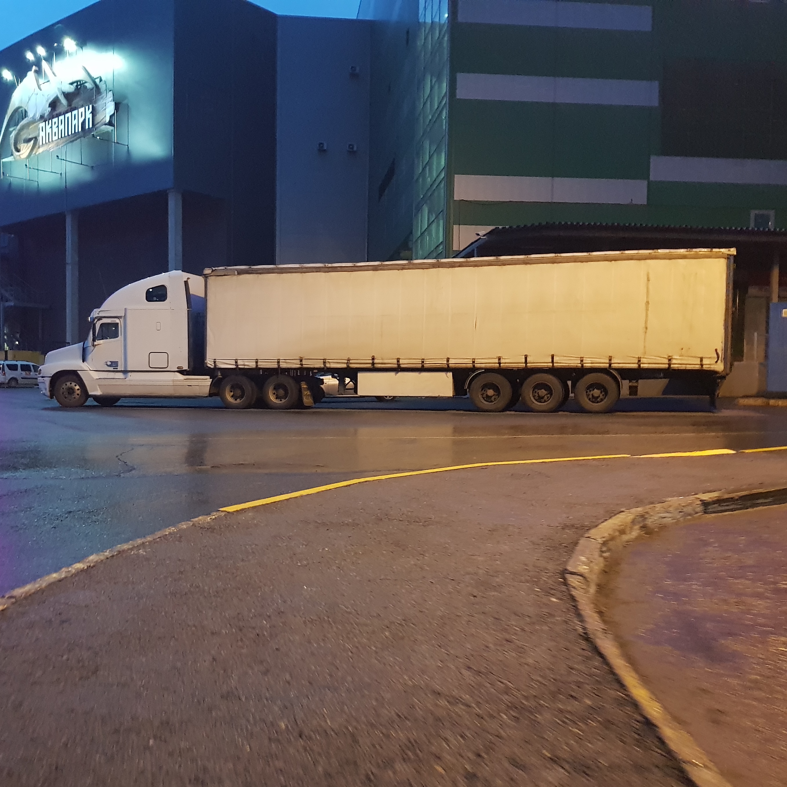 Туда-сюда, там-сям. Freightliner Дальнобой 🇷🇺