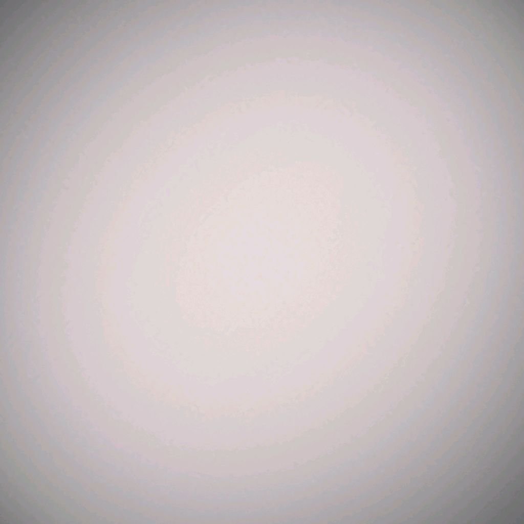 channel50982867