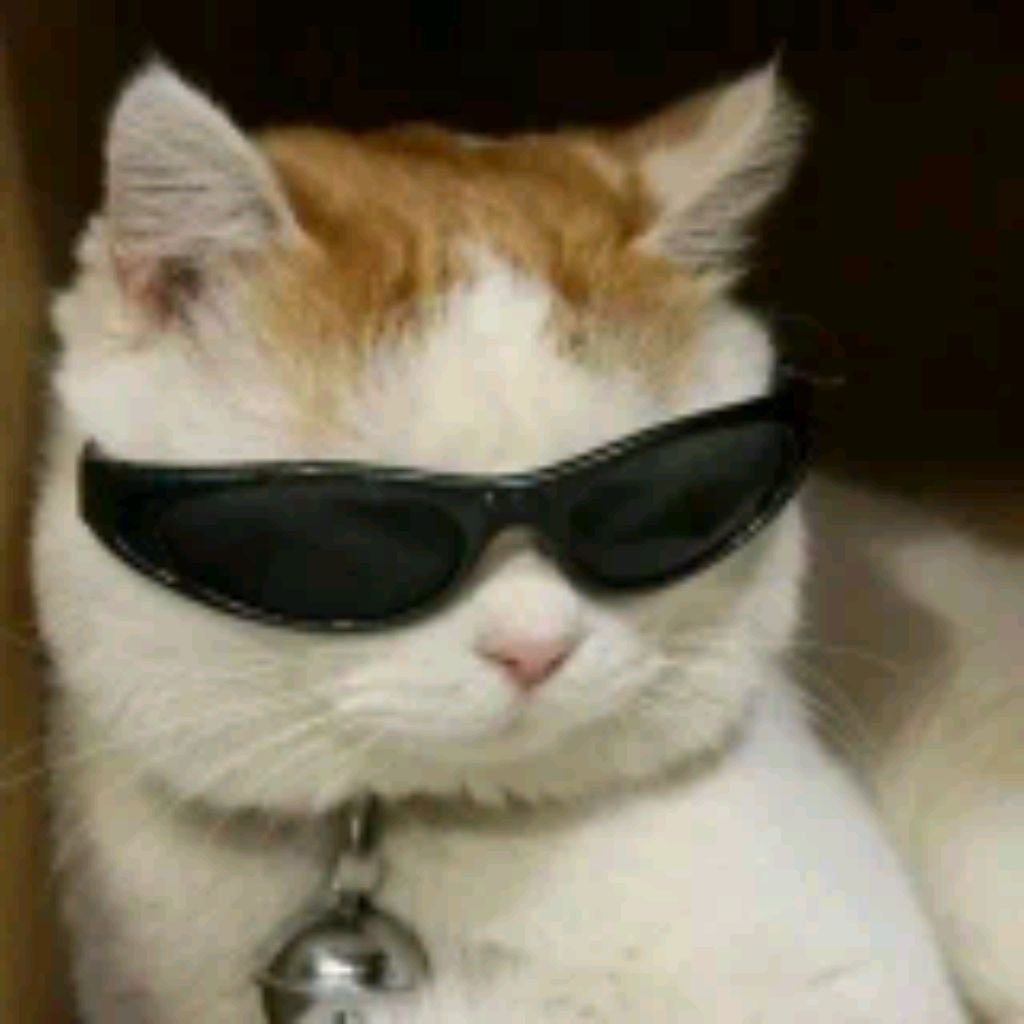 Pelmen_V TaNkE