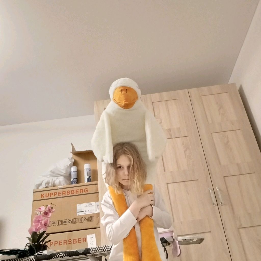 Просто стример