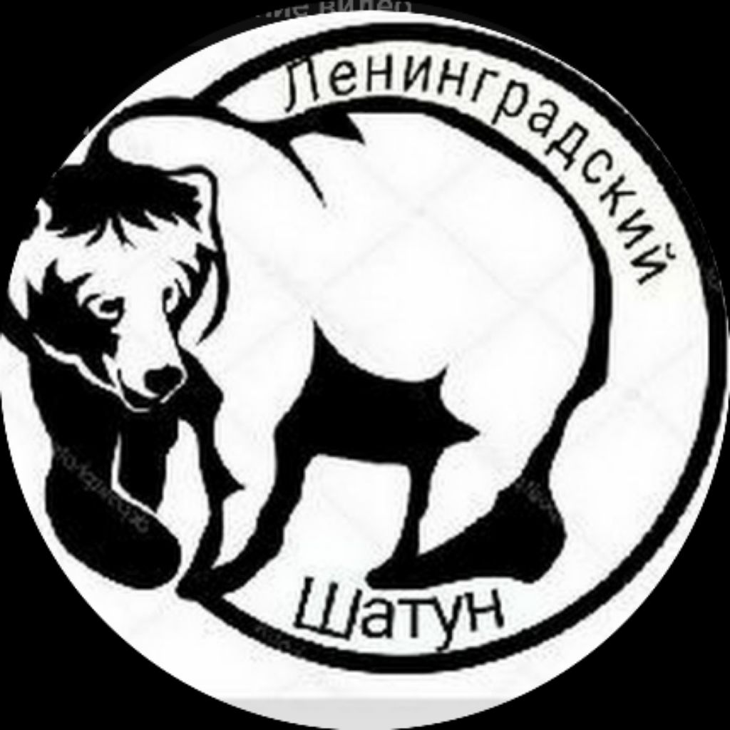 Ленинградский Шатун