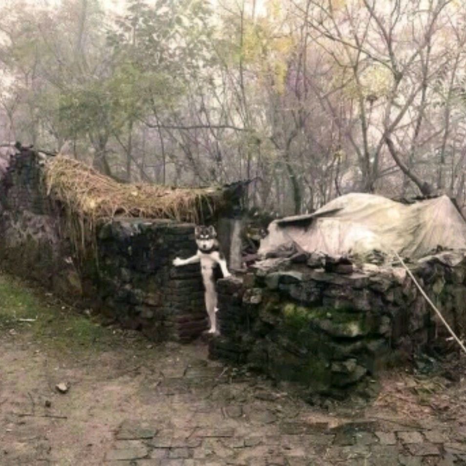 *МаЯчоК*