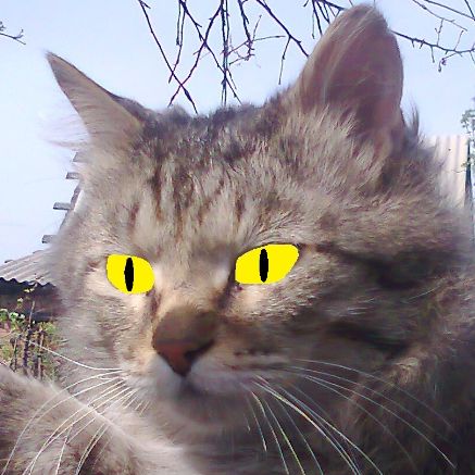 Кузьма