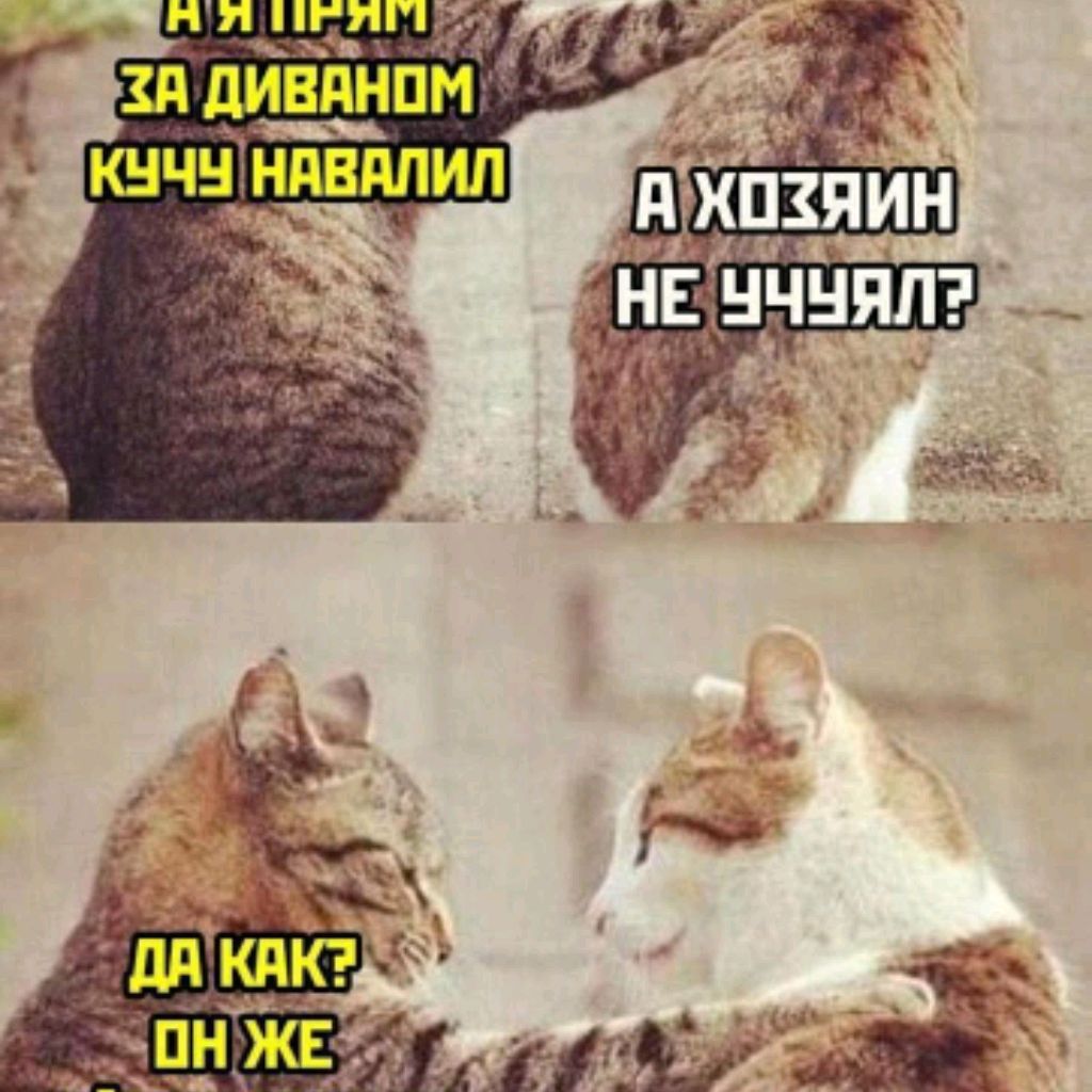 Saratov ☝🇷🇺🇷🇺🇷🇺🇷🇺