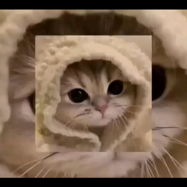 {~Котя~}