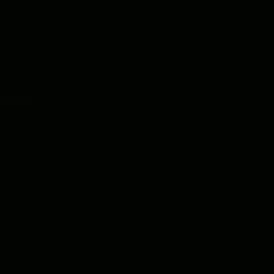 The Black