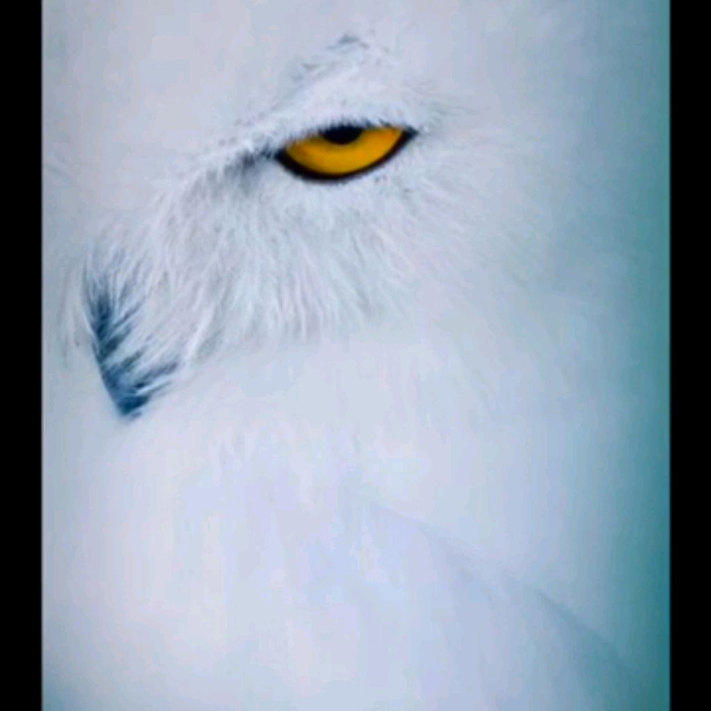 Саха