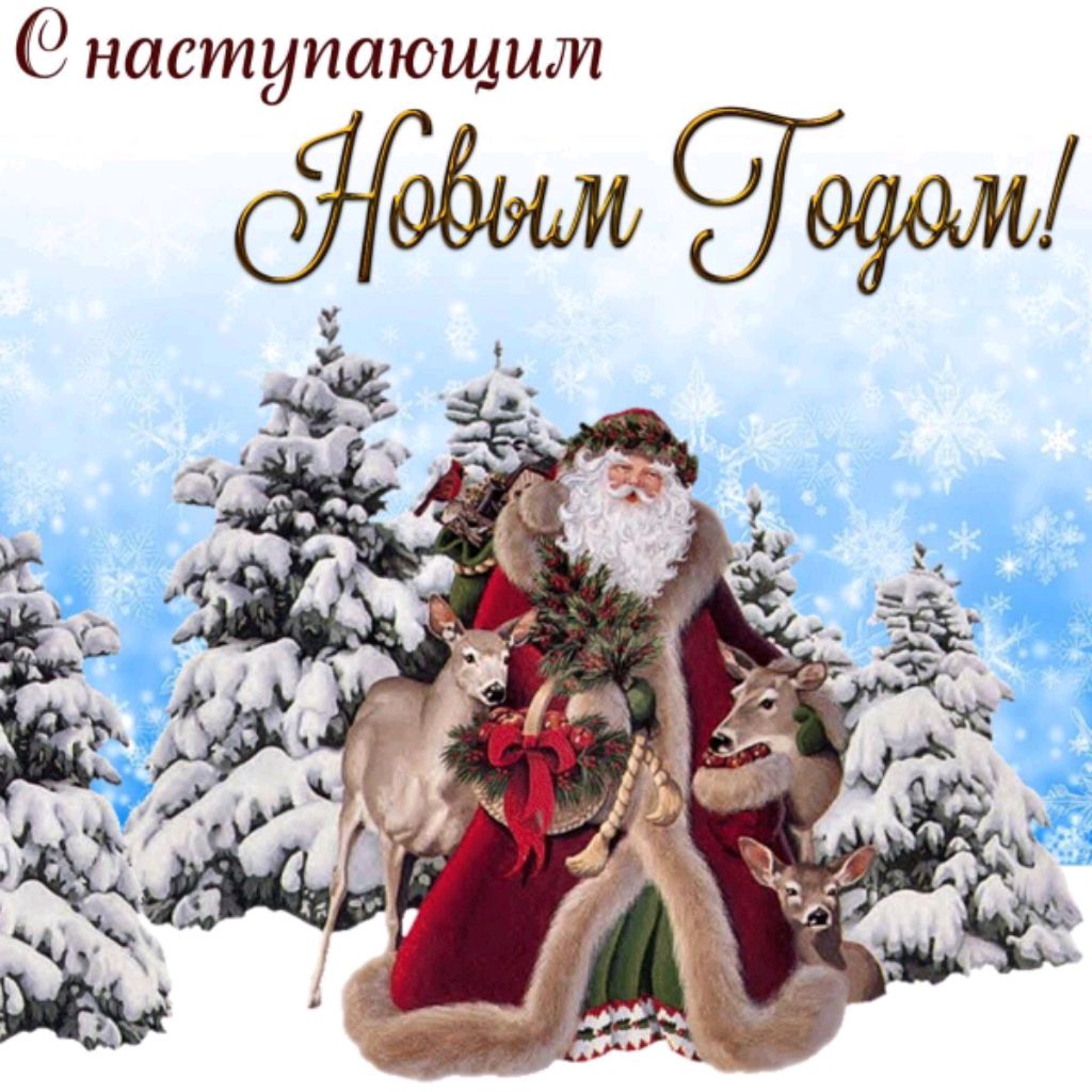 💜Мяучик бро 💜