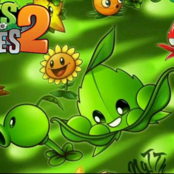 PVZ