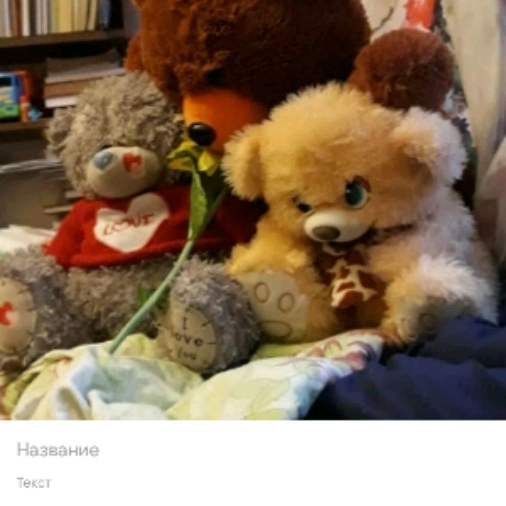 Адяша