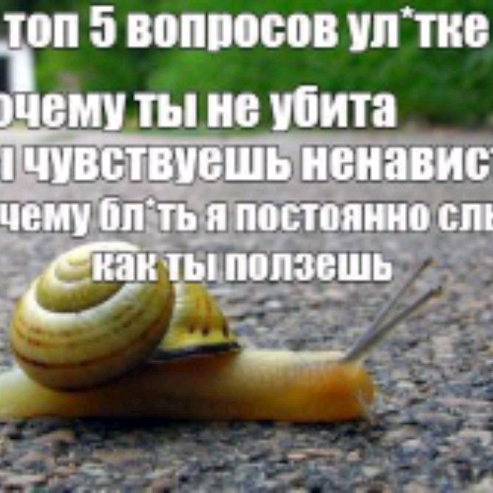 вика
