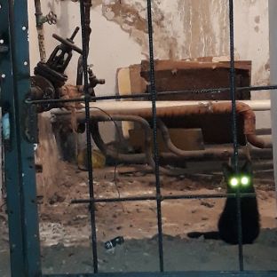 Георгий Севанян
