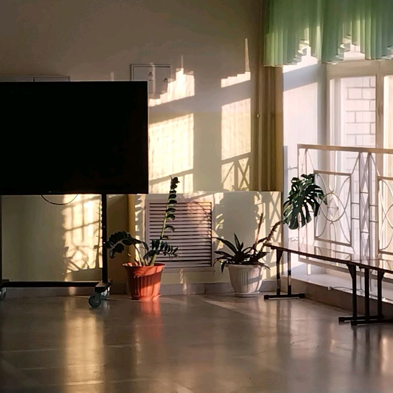 Melody 🎼