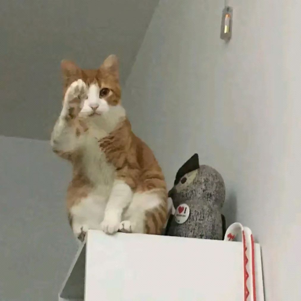 Chester