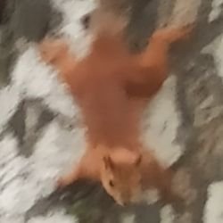 ▂▃▅▆█ 6Ɇл₭₳ █▆▅▃▂▁