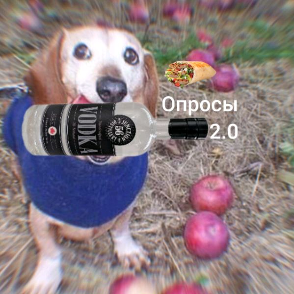 Опросы.Рутуб