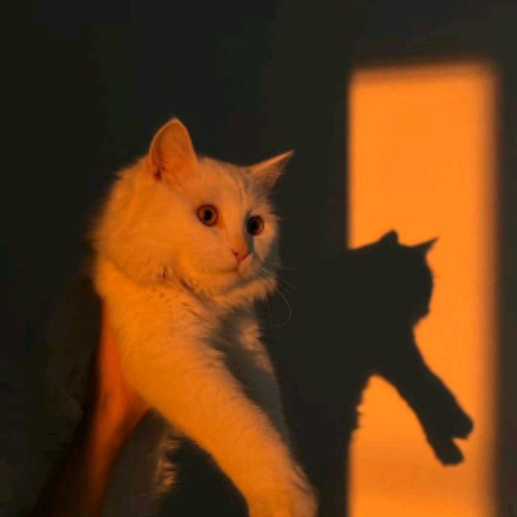Моё счастье