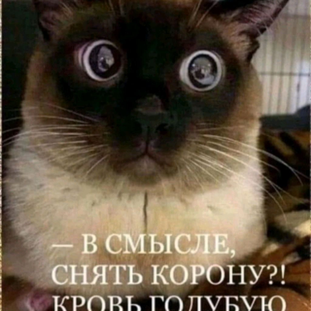 Pilulkin