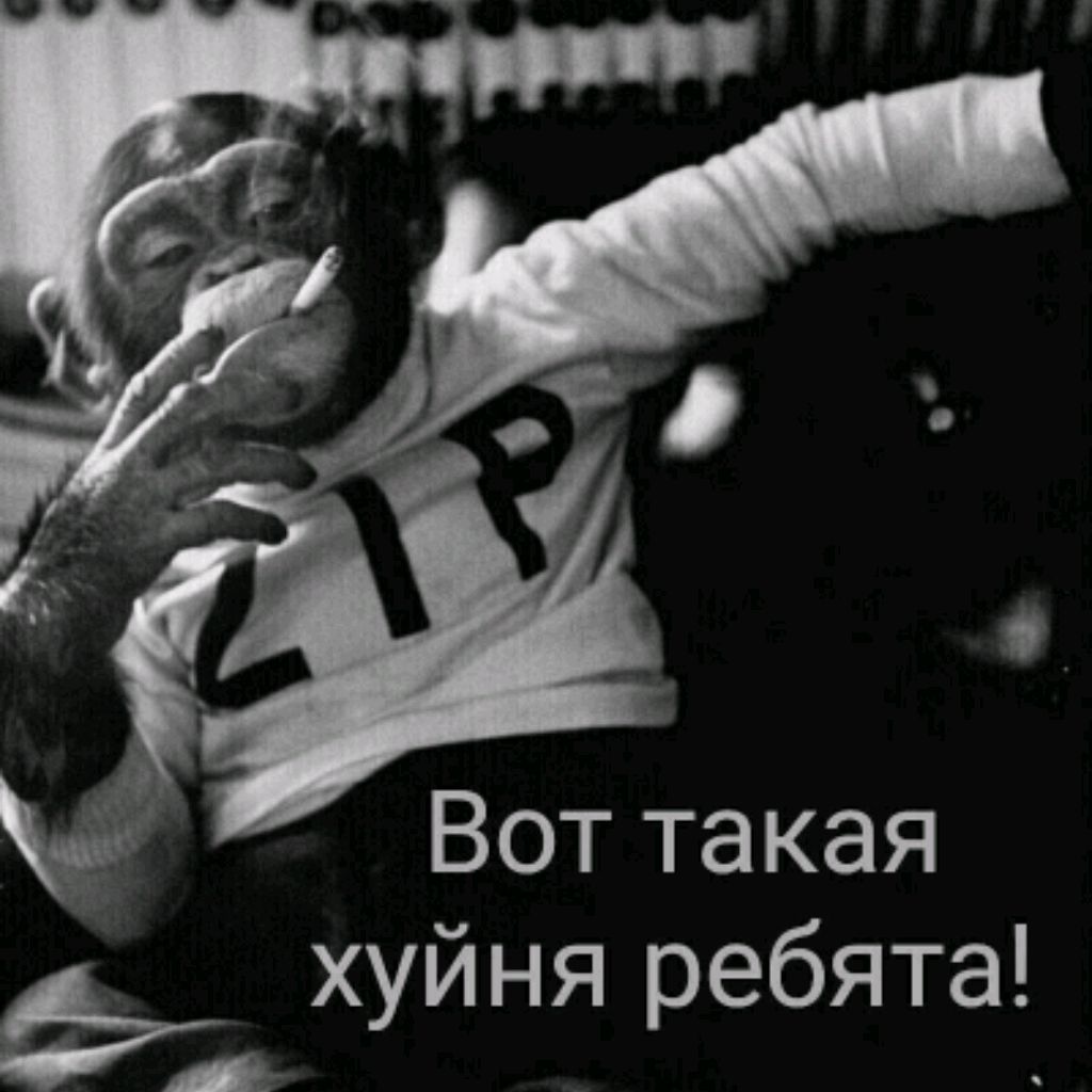 rutube_account_9784951