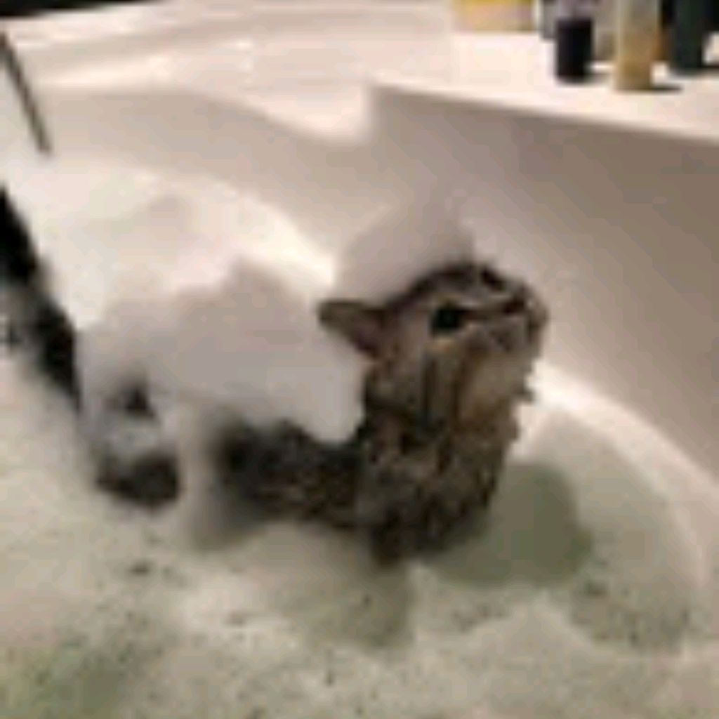 Ведьмочка