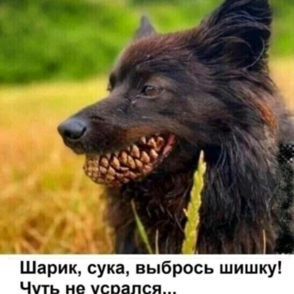 Dark_fish