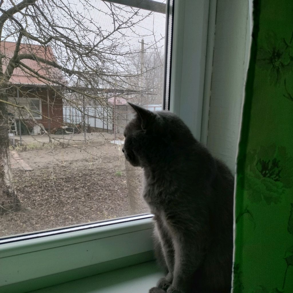 Нестабильно