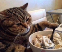 mukbang