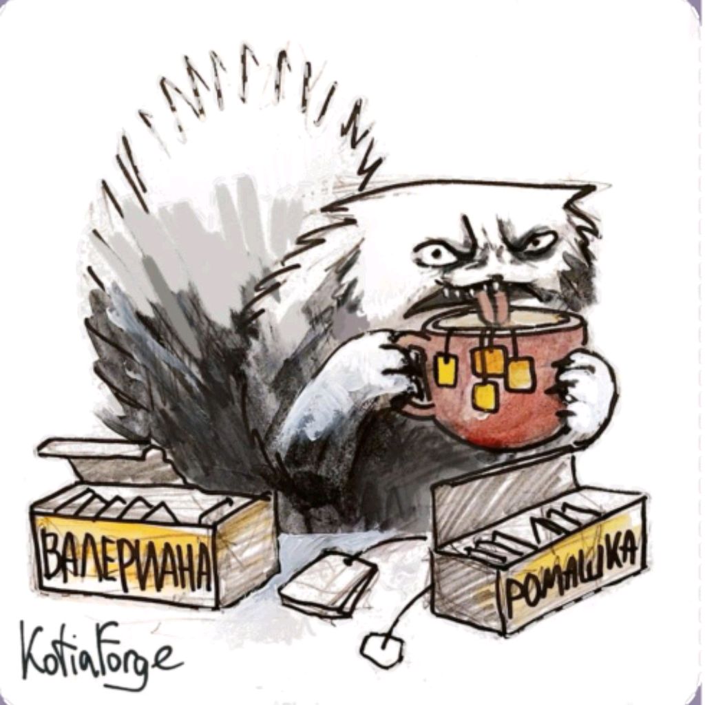 AleksandrVik