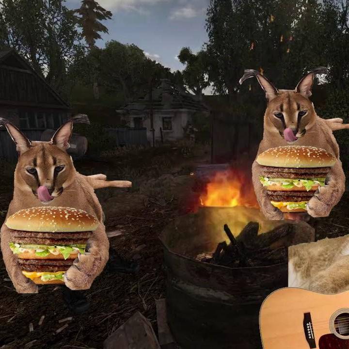 шлёпы братья