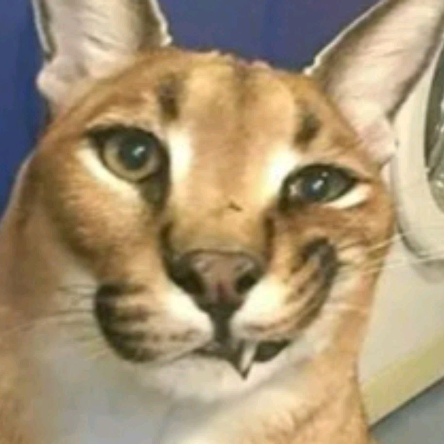 шлёпкин
