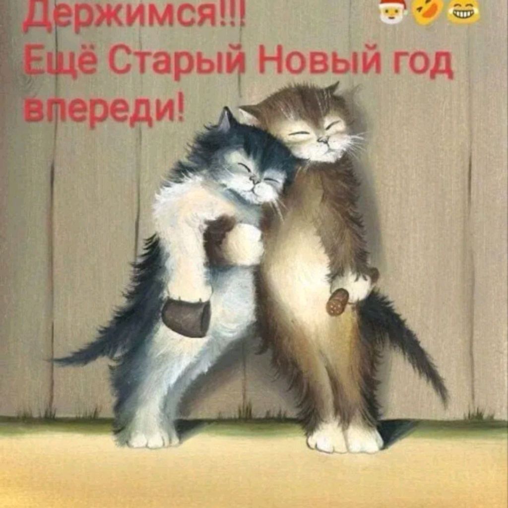 Альбина Исрафилова