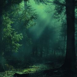 Greenwood