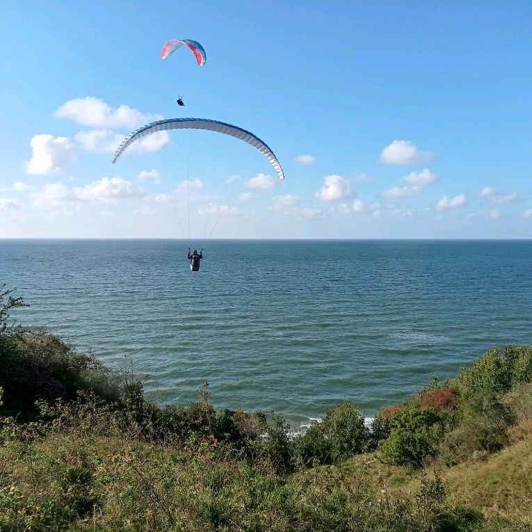 Extended Fly