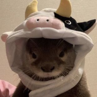 Ksushka_Merkl