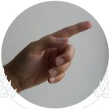 v-sterx