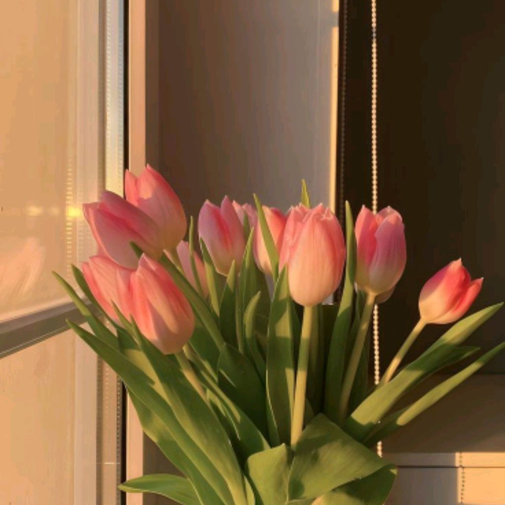 🌷Anna🌷