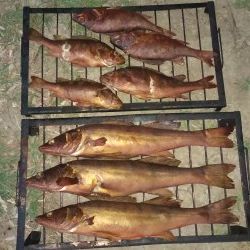 Рыбаки разбойники