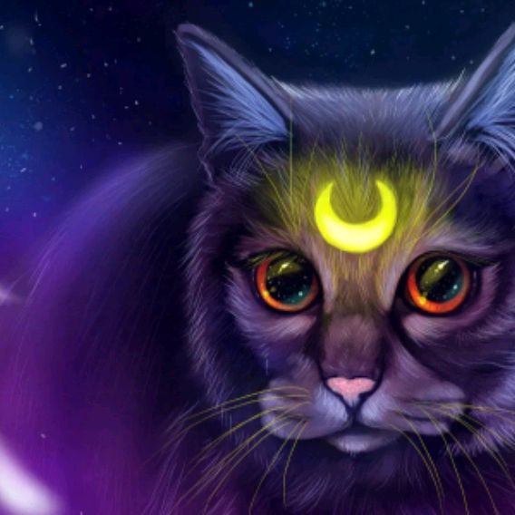Лунная кошка🌙🐈⬛🫐