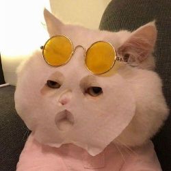 София