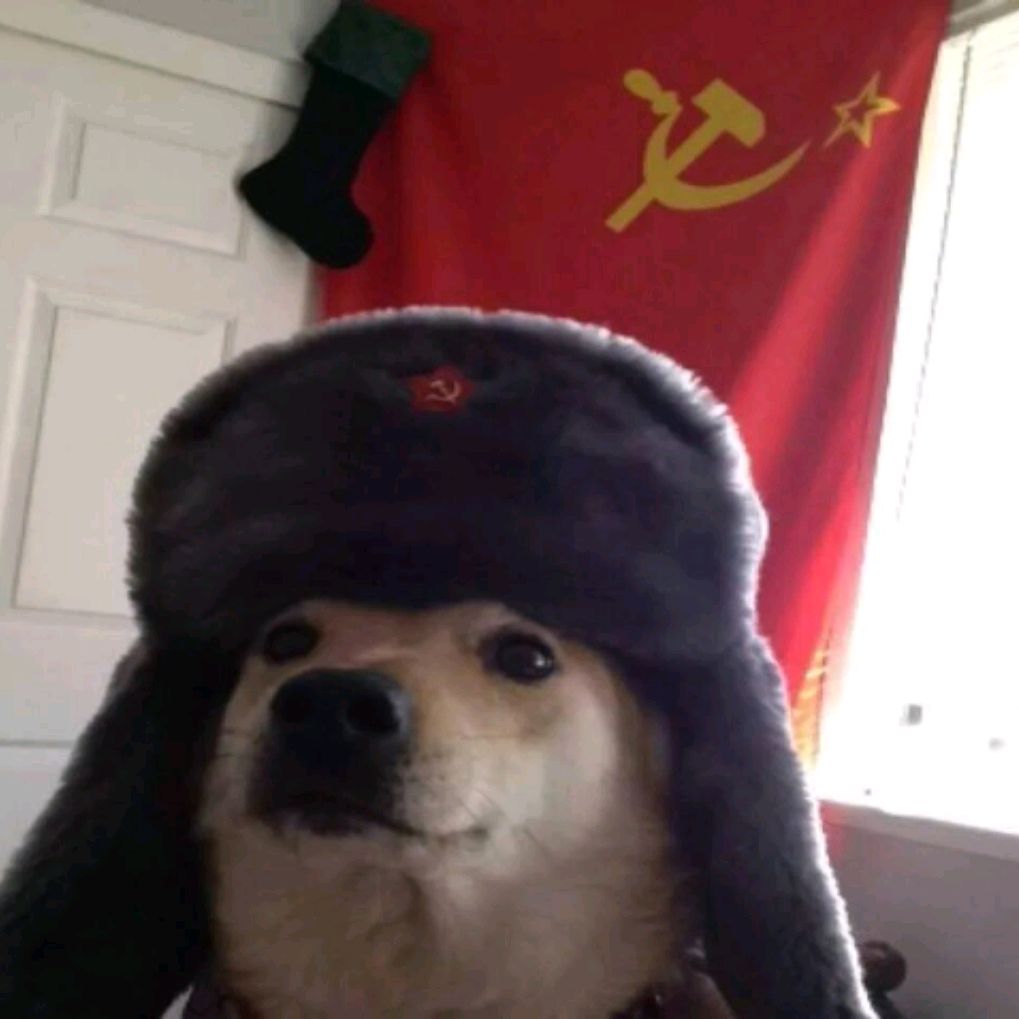 Ilya