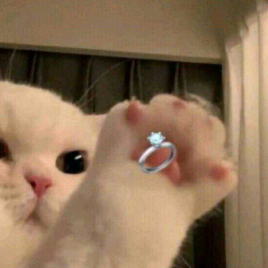 𝚀𝚞𝚎𝚎𝚗 💋💍