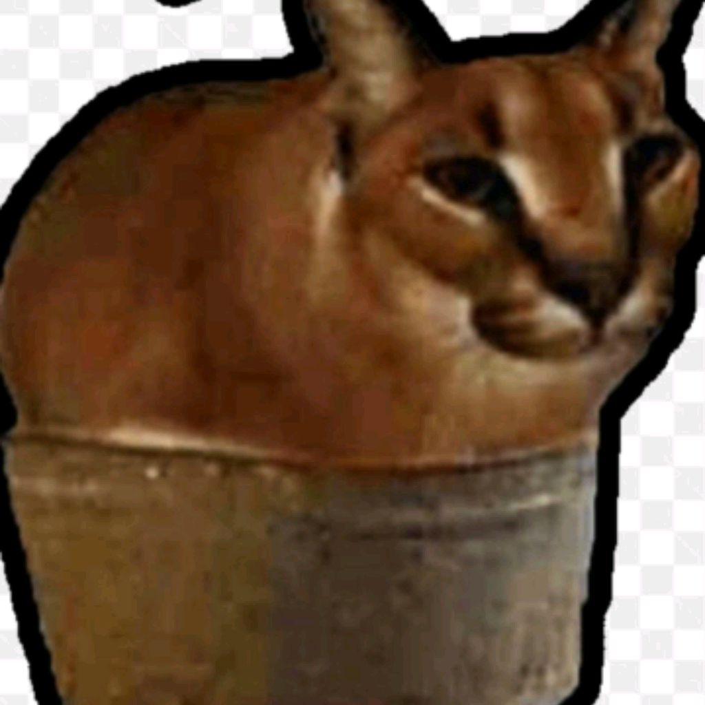 Timfrog