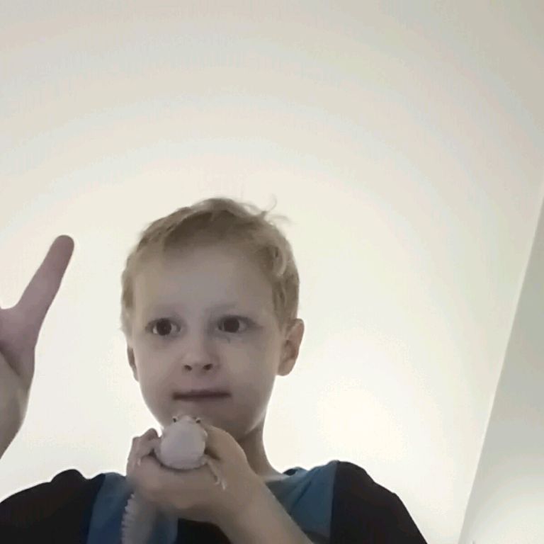 Родион фарайзон