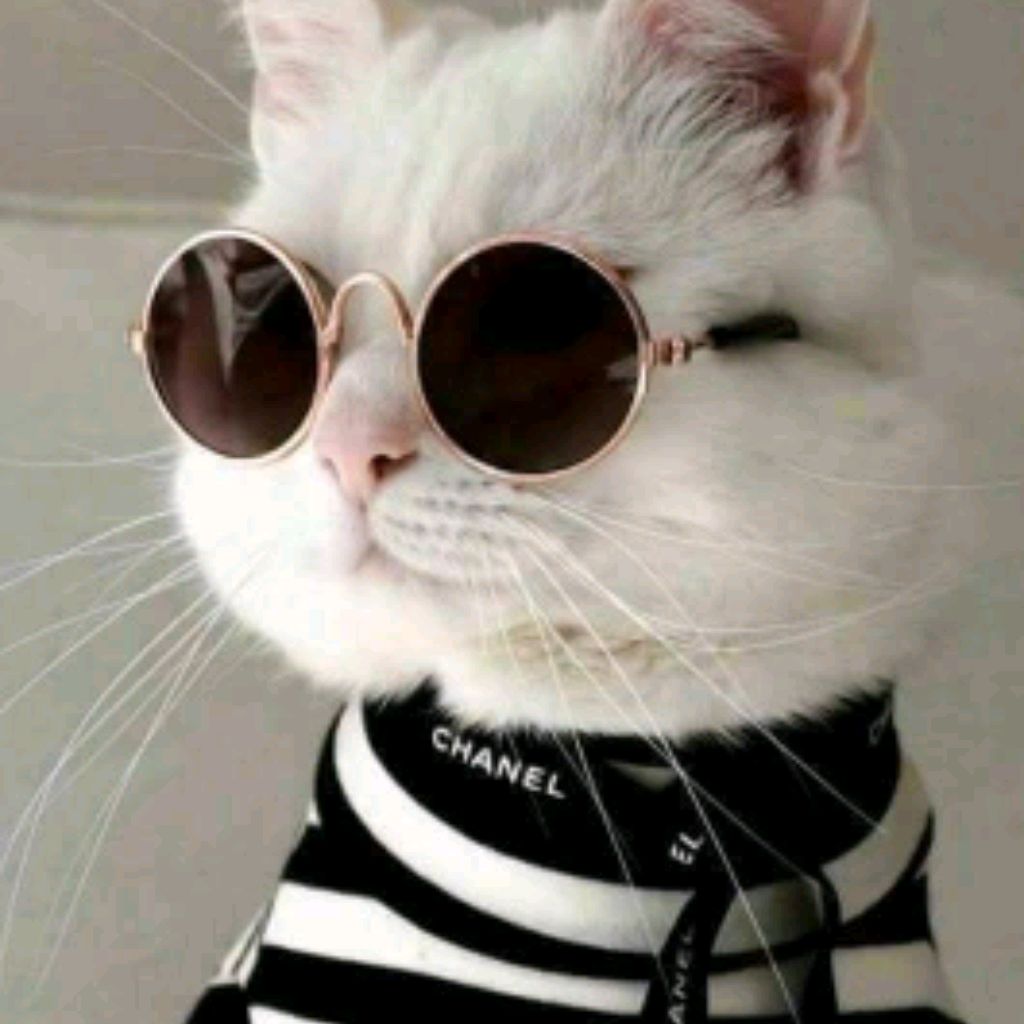 Jfjf
