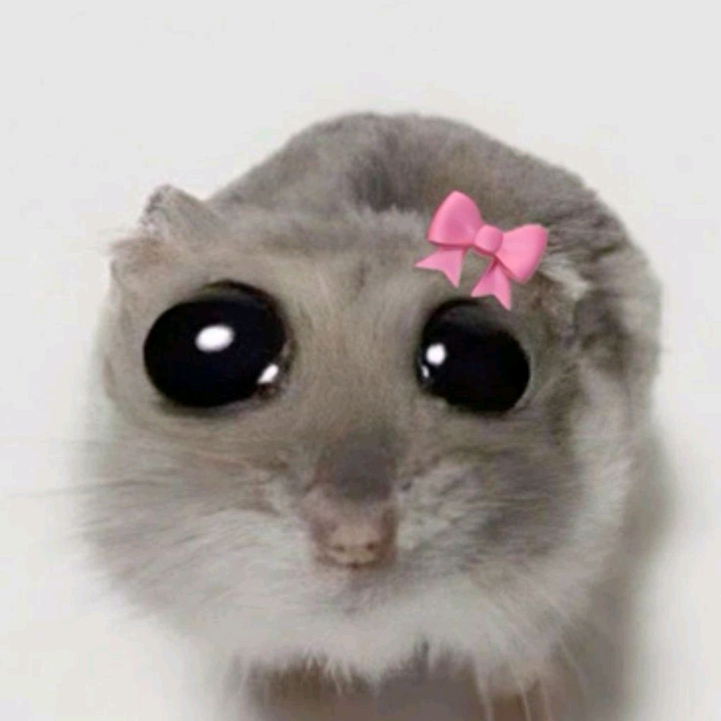 🎀🐹°LenaXoms°🐹🎀